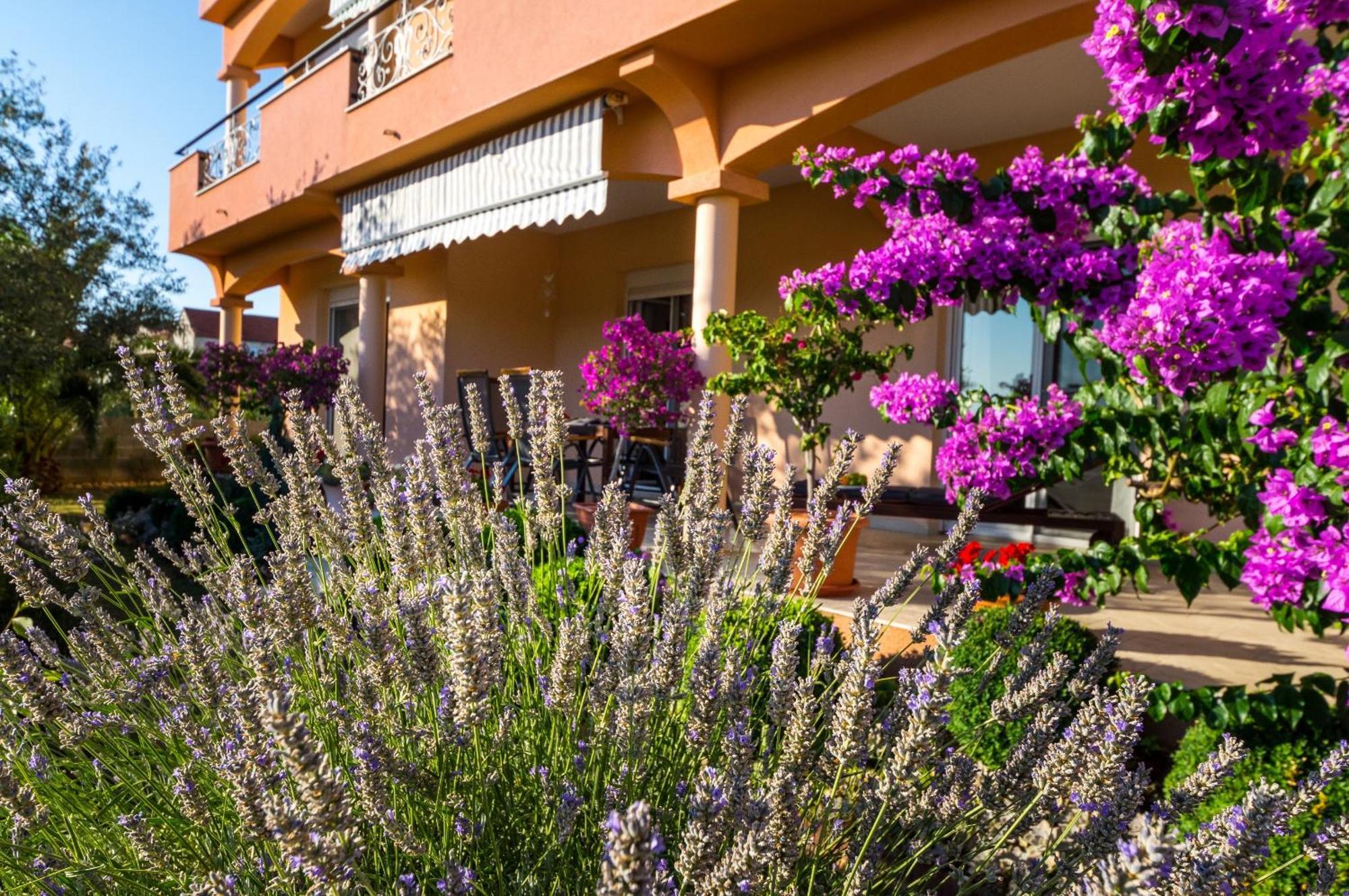 Apartment 1001 Nights Zadar Exterior photo